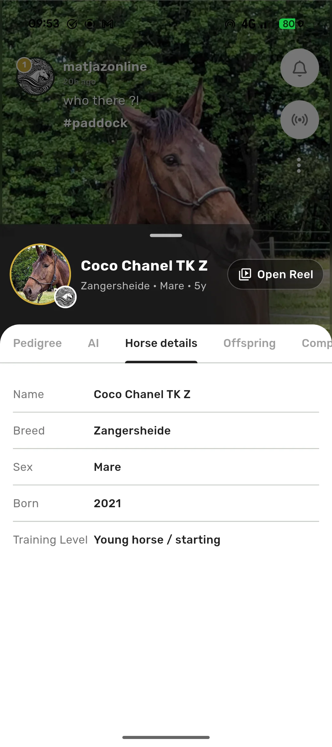 Post description example
